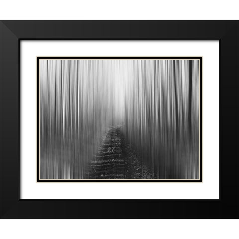 Path Black Modern Wood Framed Art Print with Double Matting by Plank, Savanah