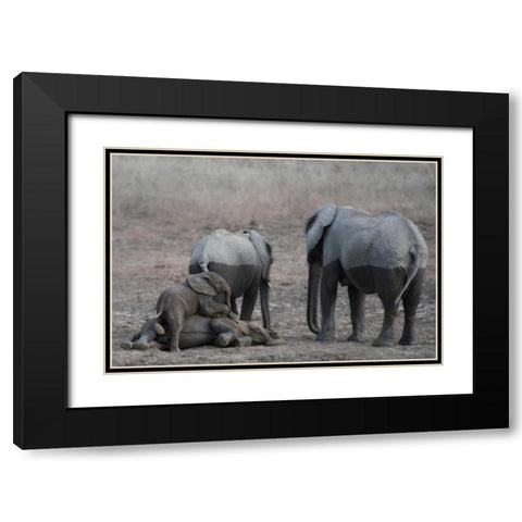 Brothers at Play Black Modern Wood Framed Art Print with Double Matting by Bennion, Scott