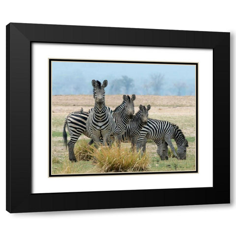 Invisible Black Modern Wood Framed Art Print with Double Matting by Bennion, Scott