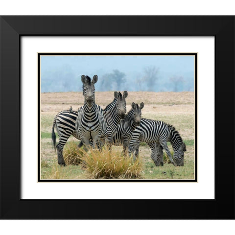 Invisible Black Modern Wood Framed Art Print with Double Matting by Bennion, Scott