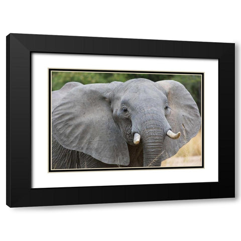 Mia Black Modern Wood Framed Art Print with Double Matting by Bennion, Scott