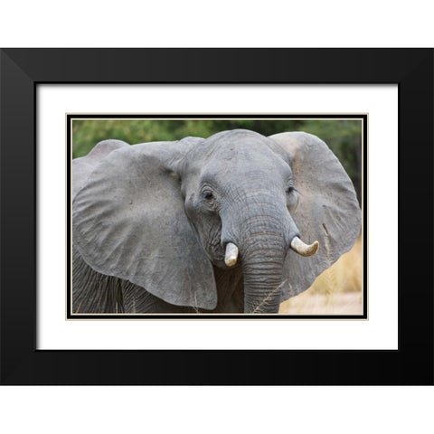 Mia Black Modern Wood Framed Art Print with Double Matting by Bennion, Scott