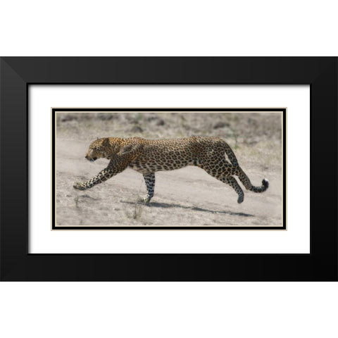 On The Run Black Modern Wood Framed Art Print with Double Matting by Bennion, Scott