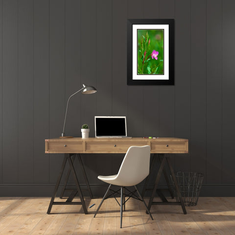 Spring Flower Black Modern Wood Framed Art Print with Double Matting by Bennion, Scott