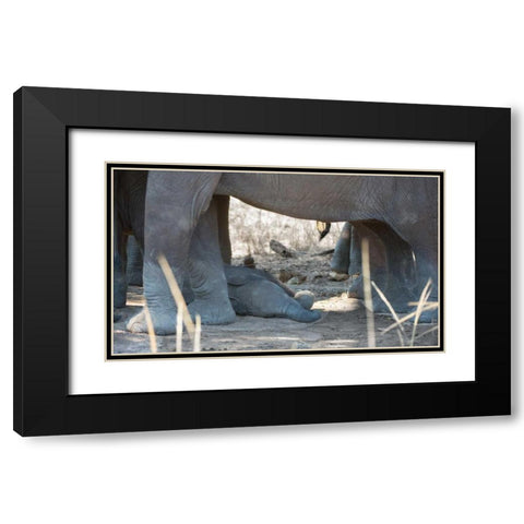 Sleeping Baby Black Modern Wood Framed Art Print with Double Matting by Bennion, Scott