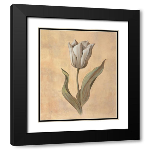 Tulip Black Modern Wood Framed Art Print with Double Matting by Huntington, Virginia