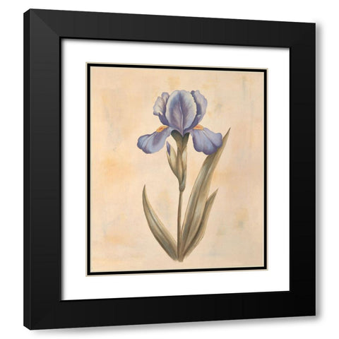 Iris Black Modern Wood Framed Art Print with Double Matting by Huntington, Virginia
