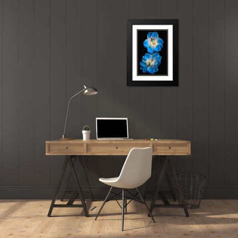 Candle Delphinium Black Modern Wood Framed Art Print with Double Matting by Reynolds, Richard