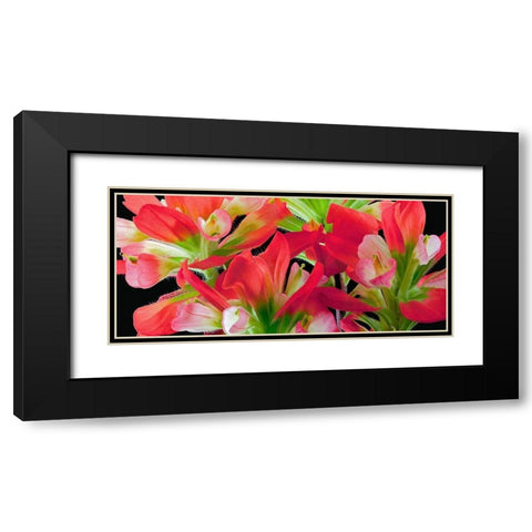 Indian Paintbrush Black Modern Wood Framed Art Print with Double Matting by Reynolds, Richard
