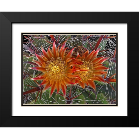 Herrerrae Black Modern Wood Framed Art Print with Double Matting by Reynolds, Richard