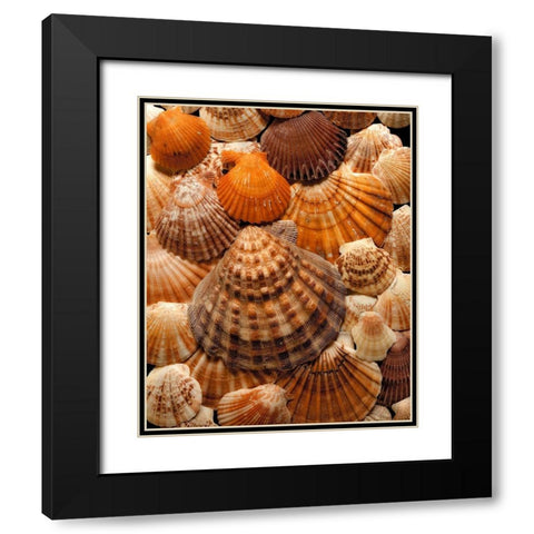 Pectins Black Modern Wood Framed Art Print with Double Matting by Reynolds, Richard