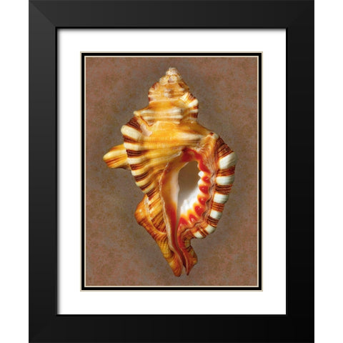 Perrys Triton Black Modern Wood Framed Art Print with Double Matting by Reynolds, Richard