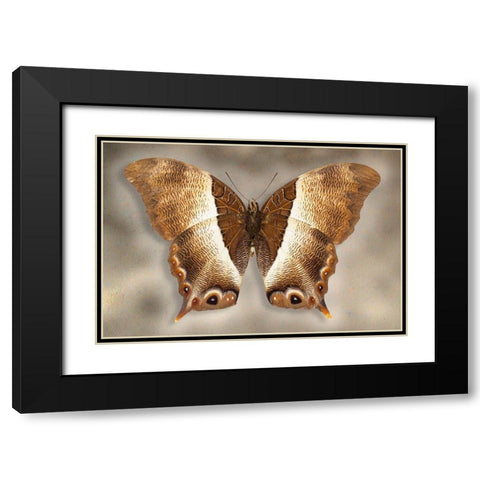 Usshers Palla Black Modern Wood Framed Art Print with Double Matting by Reynolds, Richard