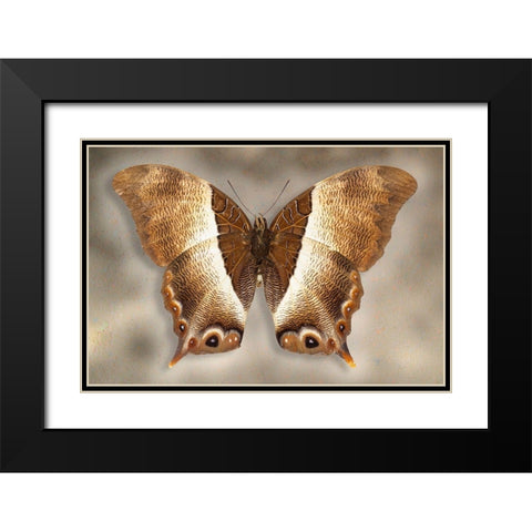 Usshers Palla Black Modern Wood Framed Art Print with Double Matting by Reynolds, Richard