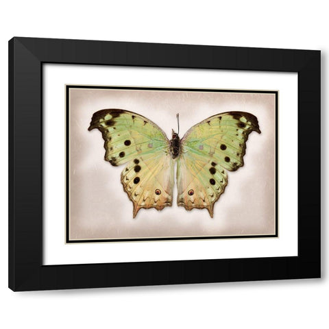 Forest Mother-Of-Pearl Black Modern Wood Framed Art Print with Double Matting by Reynolds, Richard