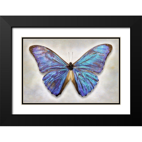 Aurora Morpho Black Modern Wood Framed Art Print with Double Matting by Reynolds, Richard