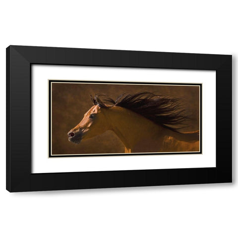 Arabian Runner Black Modern Wood Framed Art Print with Double Matting by Dawson, Robert