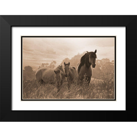 One Spring Morning Black Modern Wood Framed Art Print with Double Matting by Dawson, Robert