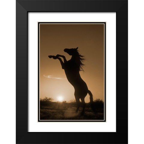 Rearing Horse Silhouette Black Modern Wood Framed Art Print with Double Matting by Dawson, Robert