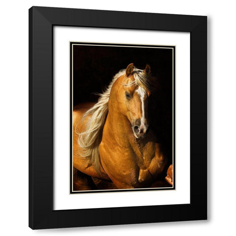 Sherrys Boy Black Modern Wood Framed Art Print with Double Matting by Dawson, Robert