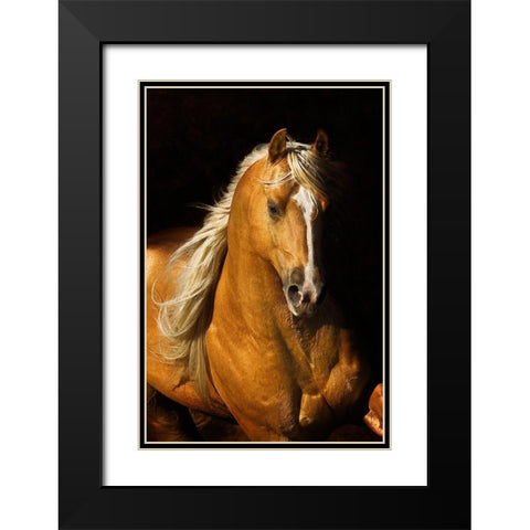 Sherrys Boy Black Modern Wood Framed Art Print with Double Matting by Dawson, Robert