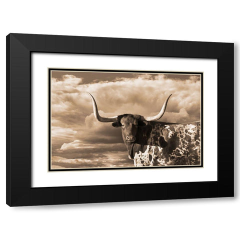 Texas Longhorn ~ Sepia Black Modern Wood Framed Art Print with Double Matting by Dawson, Robert