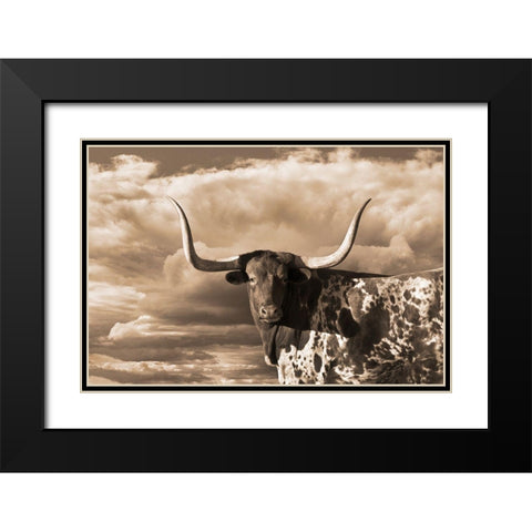 Texas Longhorn ~ Sepia Black Modern Wood Framed Art Print with Double Matting by Dawson, Robert