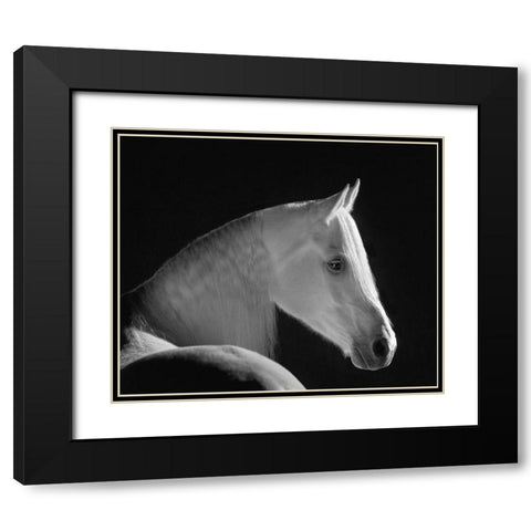 White Shadow Black Modern Wood Framed Art Print with Double Matting by Dawson, Robert