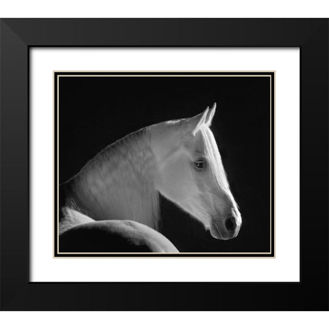White Shadow Black Modern Wood Framed Art Print with Double Matting by Dawson, Robert