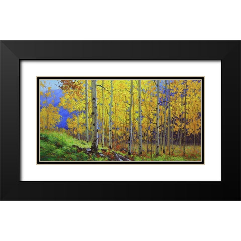 Fall Aspen Black Modern Wood Framed Art Print with Double Matting by Kim, Gary