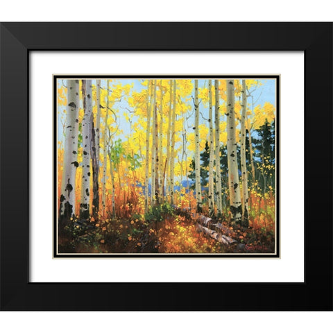 Castle Creek Trail Black Modern Wood Framed Art Print with Double Matting by Kim, Gary