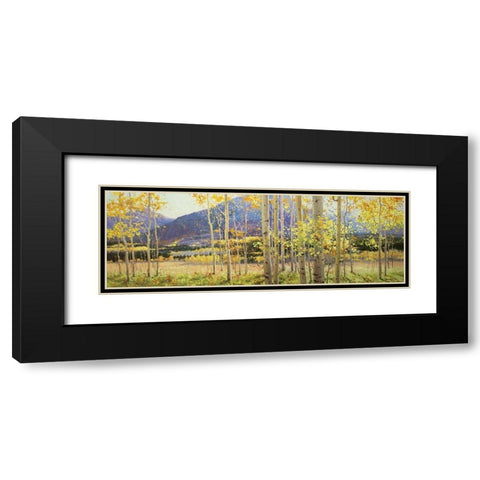 Aspen Beauty Black Modern Wood Framed Art Print with Double Matting by Kim, Gary