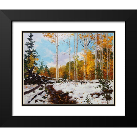 Aspen Vista Snow Black Modern Wood Framed Art Print with Double Matting by Kim, Gary