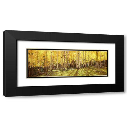 Aspen Panorama Black Modern Wood Framed Art Print with Double Matting by Kim, Gary