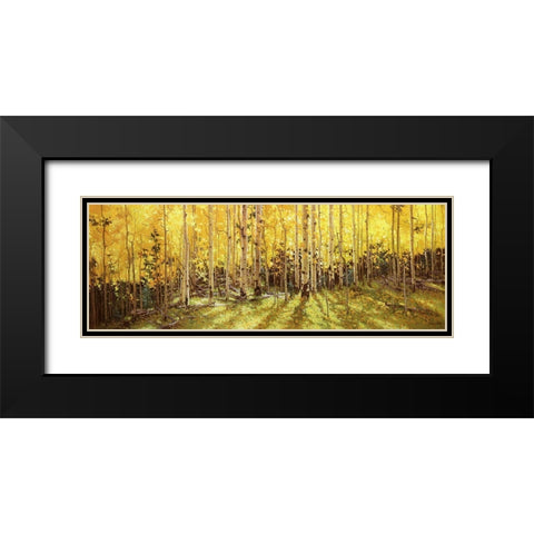 Aspen Panorama Black Modern Wood Framed Art Print with Double Matting by Kim, Gary