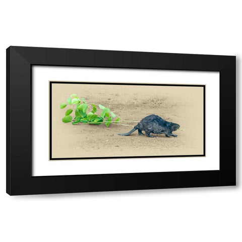 Beaver Black Modern Wood Framed Art Print with Double Matting by Brown, Jim