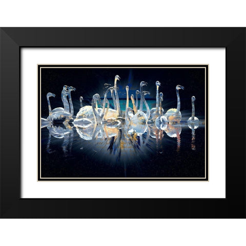 Birds of Paradise Black Modern Wood Framed Art Print with Double Matting by Bolokofsky, Ronald