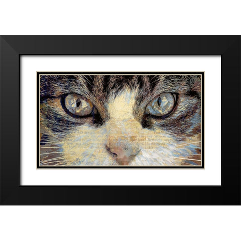 Cat Eyes Black Modern Wood Framed Art Print with Double Matting by Bolokofsky, Ronald