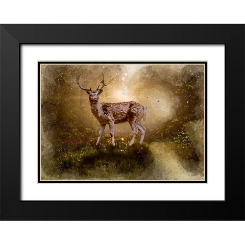 Deer In the Forest Black Modern Wood Framed Art Print with Double Matting by Bolokofsky, Ronald