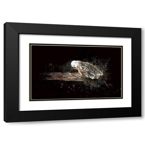Fish Out of Water Black Modern Wood Framed Art Print with Double Matting by Bolokofsky, Ronald