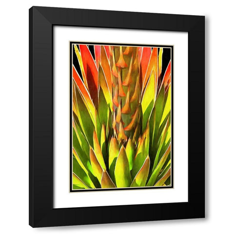 Agave I Black Modern Wood Framed Art Print with Double Matting by Bolokofsky, Ronald