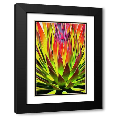 Agave II Black Modern Wood Framed Art Print with Double Matting by Bolokofsky, Ronald