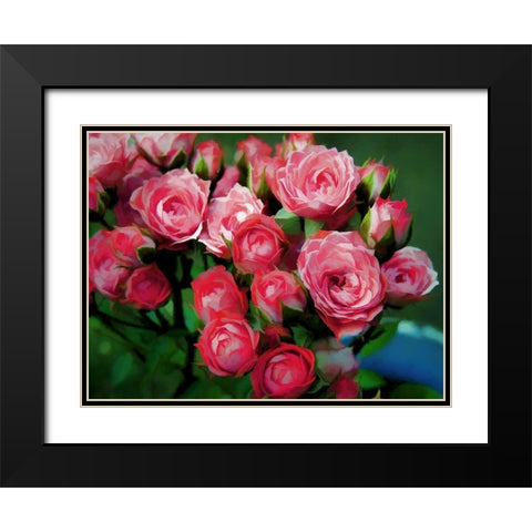 Pot of Roses Black Modern Wood Framed Art Print with Double Matting by Bolokofsky, Ronald