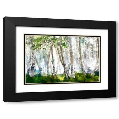 Elm Forest Black Modern Wood Framed Art Print with Double Matting by Bolokofsky, Ronald