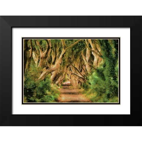 Tree Lane Black Modern Wood Framed Art Print with Double Matting by Bolokofsky, Ronald