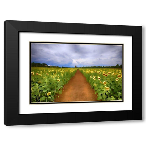 Sunflower Field Black Modern Wood Framed Art Print with Double Matting by Bolokofsky, Ronald