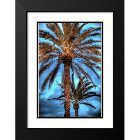 Against the Blue Sky Black Modern Wood Framed Art Print with Double Matting by Bolokofsky, Ronald