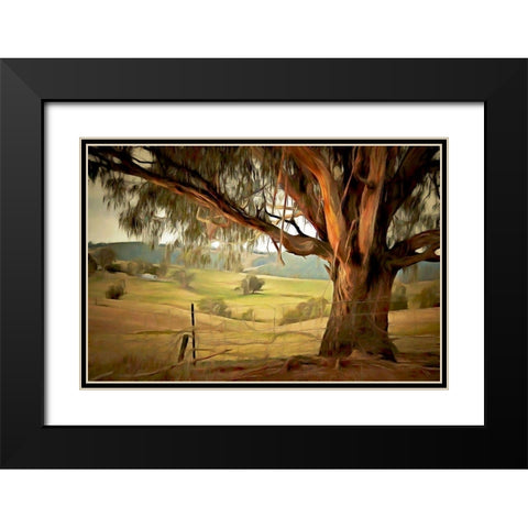 Along the Fence  Black Modern Wood Framed Art Print with Double Matting by Bolokofsky, Ronald