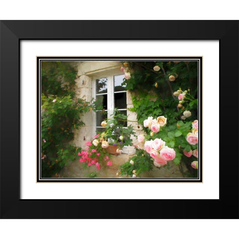 Amys Garden Black Modern Wood Framed Art Print with Double Matting by Bolokofsky, Ronald