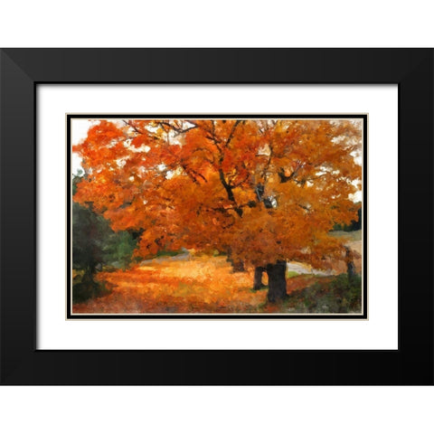 Autumn Landscape Black Modern Wood Framed Art Print with Double Matting by Bolokofsky, Ronald